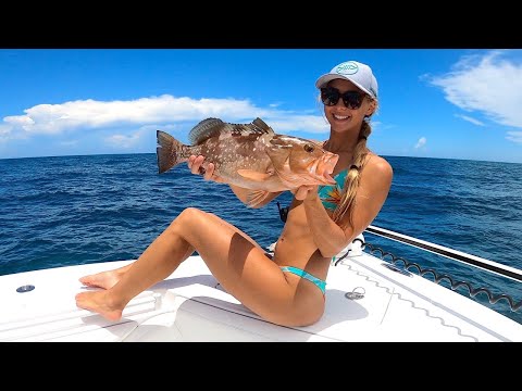 MIXED BAG Fishing The BIGGEST Nurse Shark Ive Ever Seen