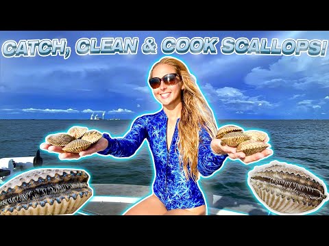 Scalloping in Florida Cleaning and Cooking Honey Soy Sauce