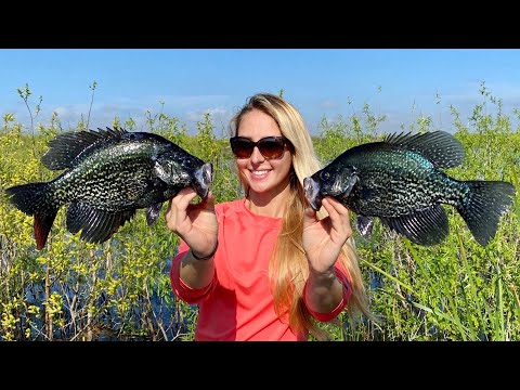 How to Catch HUGE Spawning Crappie Worlds CRAPPIEST Tacos