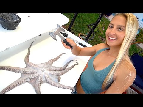 OCTOPUS Catch Clean Cook First Time