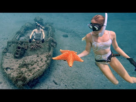 Best Place to SNORKEL from Shore Sunken Boats Cooking Lemon
