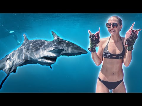 Diving with the WORLDS Most FEARED Animal The Truth Behind