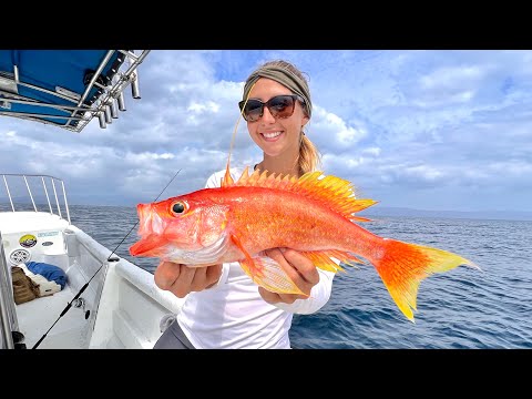 Slow pitch jigging RARE fish in 400 foot of water off the