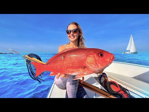 Spearfishing Red Snapper Panama Catch Cook