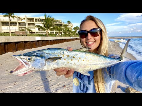 Mackerel CATCH CLEAN COOK Holiday Fish Dip Bonus SNIPE HUNT