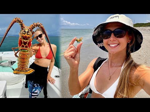 Daily Life in Florida Vlog Coconut Panko 7LB Lobster Tail