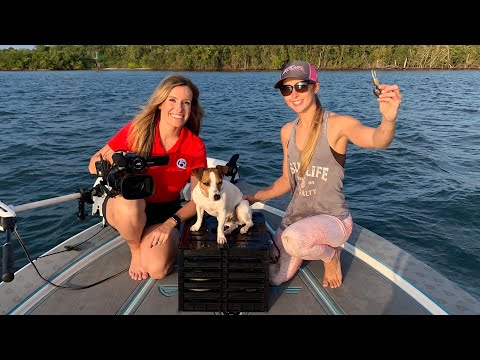On the NEWS Checking Our TRAPS Lots of BLUE CRABS