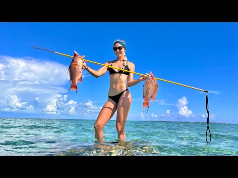 Hand Spearing DINNER in Paradise