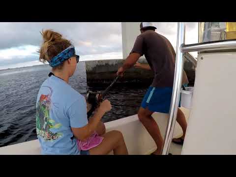Grouper Fishing