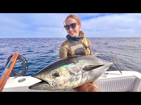 The Most Intense Spearfishing in the World Bluefin Tuna
