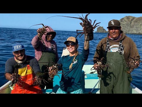 Pulling Commercial Lobster TRAPS in MEXICO