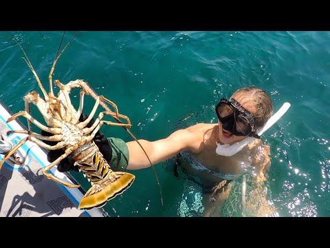 What happens when I go SNORKELING and see underwater bugs