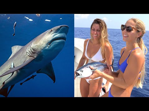 The TRUTH Behind The WORLDS MOST FEARED SHARK