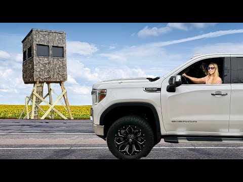 Deer Hunting Road Trip with My Dog Exploring the Outdoors