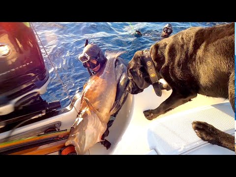 Opening of GROUPER SEASON in MIAMI Florida