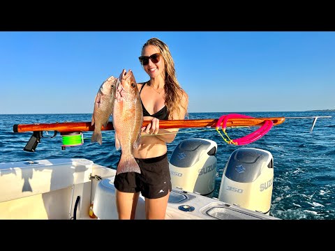 Spear Sear Mangrove Snapper Epic Deep Dive