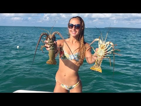 CATCH and Clean Lobster