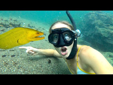 Finding Food on Beach SNORKELING in Jamacia Vlog