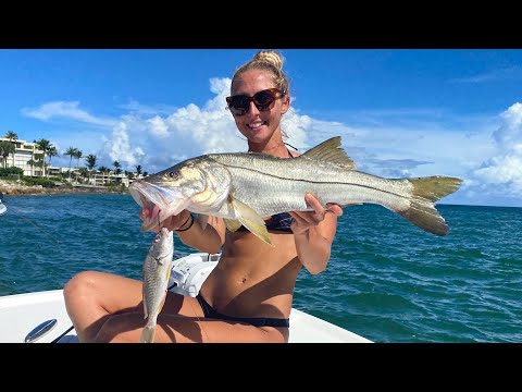 They Call Snook a Soap Fish Catch Cook