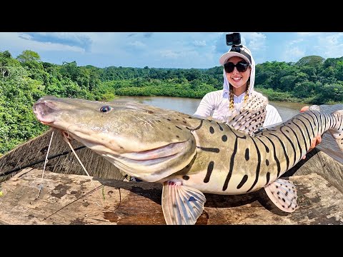 I Hiked 1 Hour in the Jungle to Catch this Fish Tiger