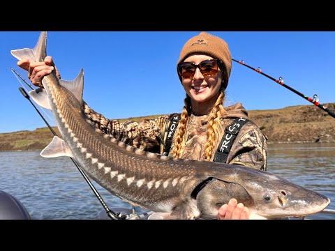 Crawdad Traps Fish Hatchery Sturgeon Fishing