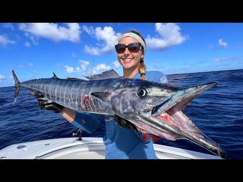 High Speed Trolling for the FASTEST Meanest Fish in the