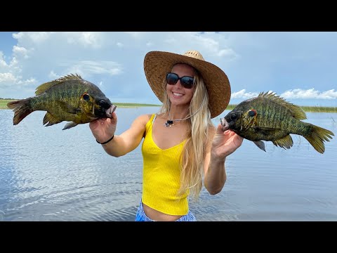 How to Catch Shell Crackers Vlog