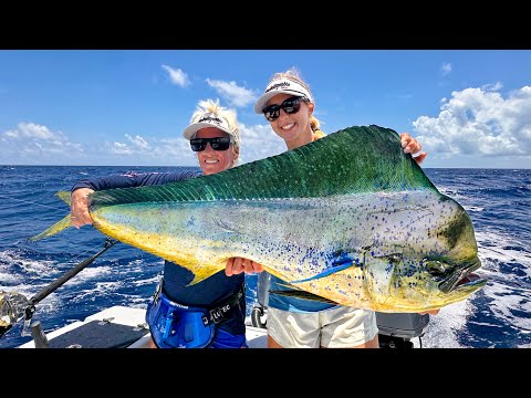 WE RE BACK Chasing 100 000 Fish in Belize 9th Annual Grand
