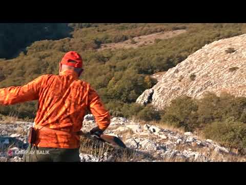 EN İYİ YABAN DOMUZU AVI BEST WILD BOAR HUNTING 1