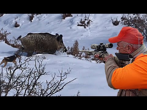 KARDA MUHTEŞEM YABAN DOMUZU AVI PERFECT WILDBOAR HUNTING