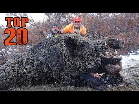 TOP 20 DOMUZ AVI EN İYİ SAHNELER TOP 20 WILD BOAR HUNTS