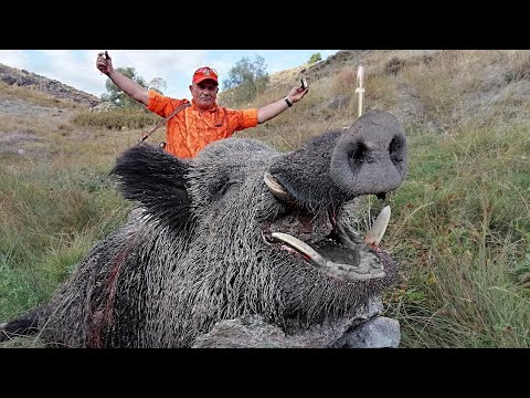 DEV AZILI YABAN DOMUZU AVI 4 GIANT MONSTER WILD BOAR