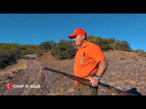 AKSİYON DOLU HARİKA BİR YABAN DOMUZU AVI FULL ACTION A