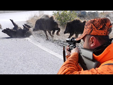 AKSİYON DOLU YABAN DOMUZU AVI HIGH ADRENALIN WILD BOAR