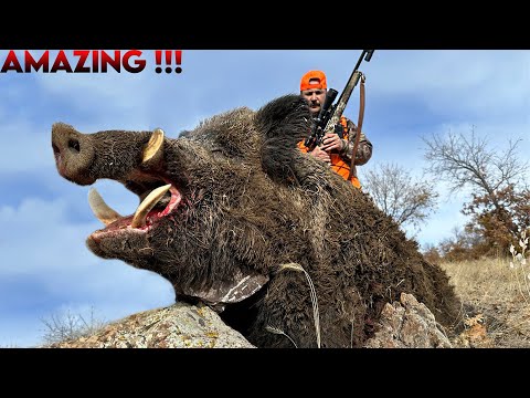 EFSANE YABAN DOMUZU AVI TOP WILD BOAR HINTING HOG HUNTS PIG
