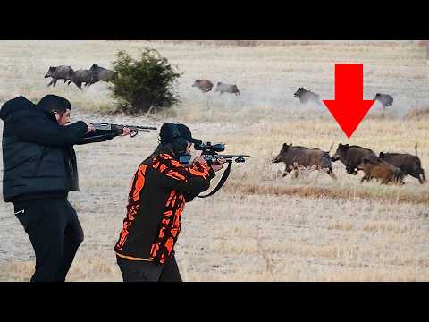 MUHTEŞEM DOMUZ AVI Advanced Drone Successfully Captures