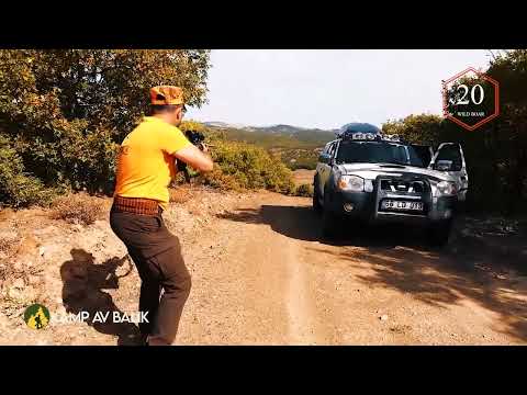 TOP 20 DOMUZ AVI EN İYİ SAHNELER TOP 20 WILD BOAR HUNTS