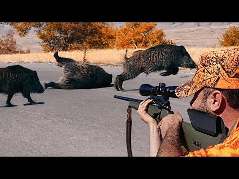 MÜKEMMEL YABAN DOMUZU AVLARINDAN SAHNELER 2 BEST WILD BOAR
