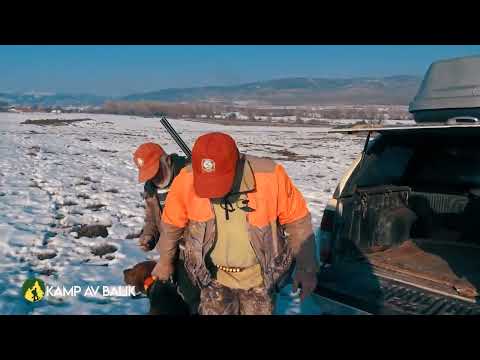 KARDA YABAN DOMUZU AVI GOCA USTAYA VEDA WILD BOAR HUNTING