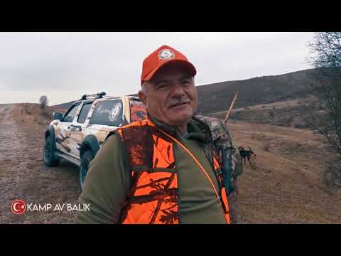 YIKILMAYAN DOMUZ AVI STRONG WILD BOAR HUNTING HUNTING GAME