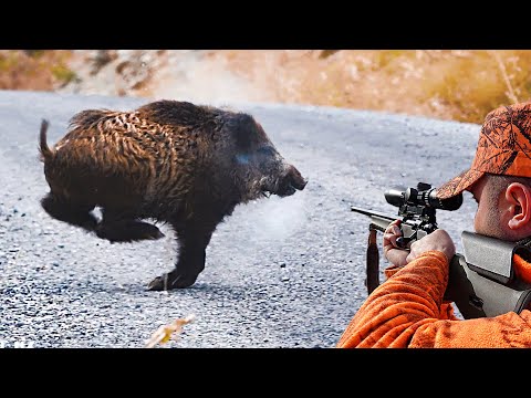 HEYECAN DOLU YABAN DOMUZU AVI HIGH ADRENALIN WILD BOAR