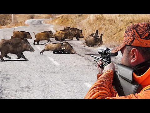 HEYECAN DOLU YABAN DOMUZU AVI HIGH ADRENALIN WILD BOAR