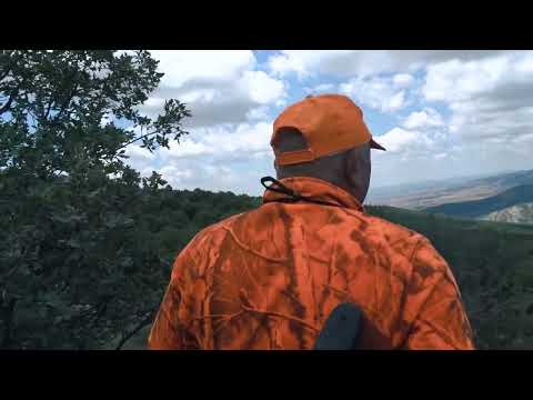 SÜREK AVI 2 Driven Wild Boar Hunting New Battue Aux