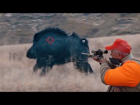DEV AZILI DOMUZ AVI 2 GIAN MONSTER WILD BOAR HUNTING 2