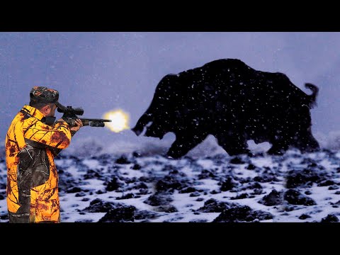 KARDA DEV AZILI YABAN DOMUZU AVI Giant Monster Wild Boar