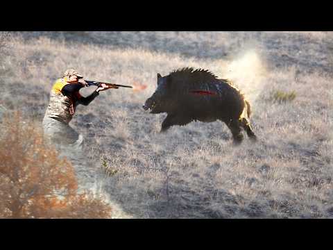 YENİ DEV AZILI YABAN DOMUZU AVI Giant Monster Wild Boar