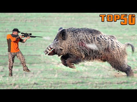 EN İYİ 50 DOMUZ VURUŞU ÖZEL SAHNELER UNUTULMAZ SAHNELER TOP