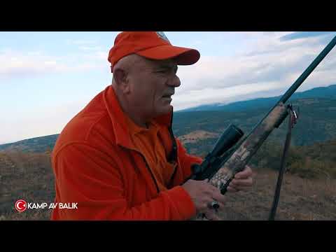 MISIR TARLASINDA YABAN DOMUZU AVI WILD BOAR HUNTING