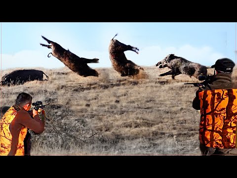 YABAN DOMUZU AVINDA ŞOK EDİCİ VURUŞLAR En iyi yaban domuzu