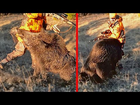 YABAN DOMUZU SALDIRISI yaban domuzu avcıyı yaraladı wild